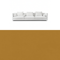 Avelina