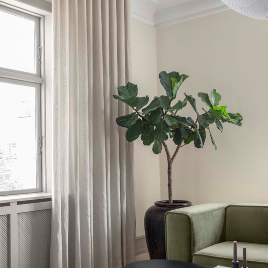 Gardintyg Pure Linen Mörkläggning